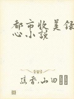 都市收美录宁素心小说