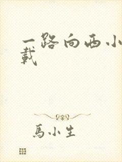 一路向西小说下载