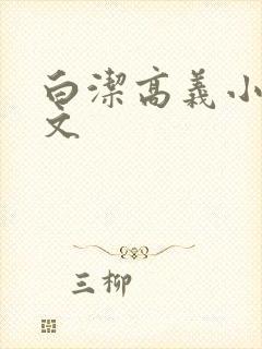 白洁高义小说全文