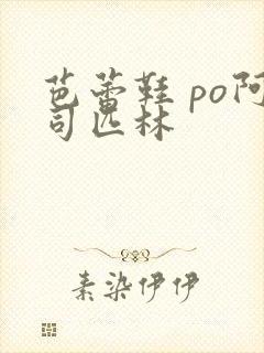 芭蕾鞋 po阿司匹林