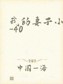 我的妻子小谨1-40