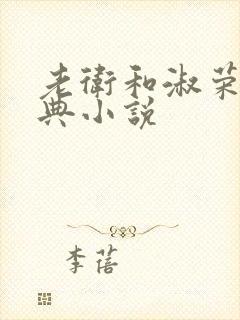 老卫和淑荣的经典小说