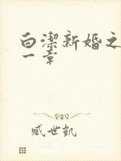 白洁新婚之夜第一章