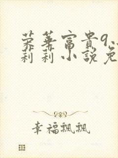 荣华富贵9小王莉莉小说免费阅读