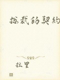 总裁的契约情人