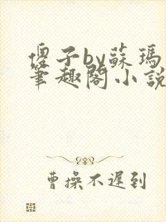 傻子by苏玛丽笔趣阁小说