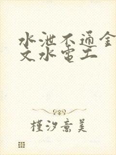 水泄不通金银原文水电工