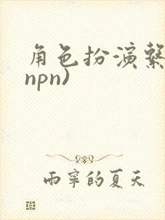 角色扮演系统(npn)