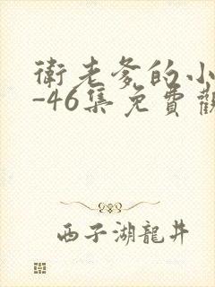 卫老爹的小船1-46集免费观看