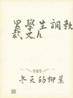 男学生调教男总裁文h