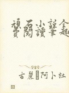 顽石小说全文免费阅读笔趣阁