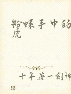 粉蝶手中的纸老虎