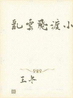 乱云飞渡小说