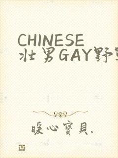 CHINESE壮男GAY野战强迫TUBE