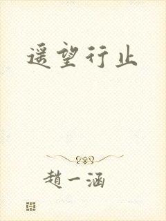 遥望行止