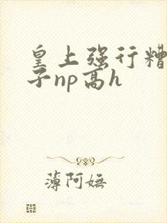 皇上强行糟蹋太子np高h