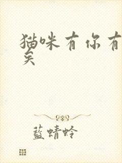 猫咪有你有我足矣