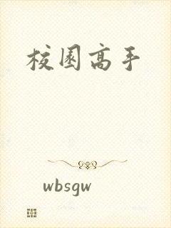 校园高手
