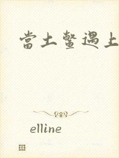 当土鳖遇上海龟