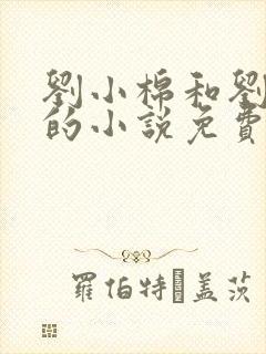 刘小棉和刘易文的小说免费阅读