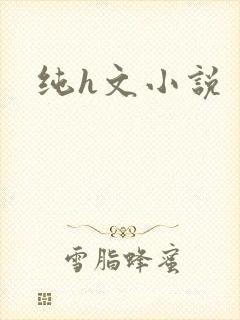 纯h文小说