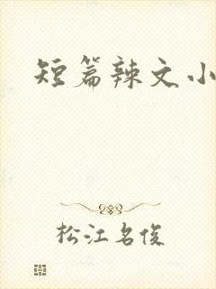 短篇辣文小说