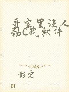 哥家里没人使点劲C我软件