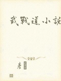 武战道小说