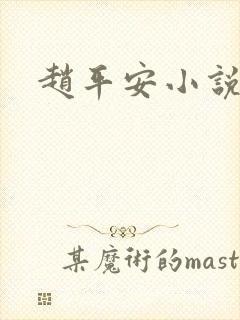 赵平安小说主角