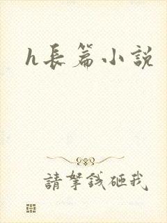 h长篇小说