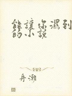 能让你湿到不行的小说