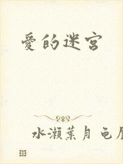 爱的迷宫