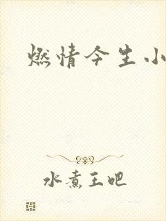 燃情今生小说