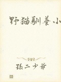 野猫驯养小说