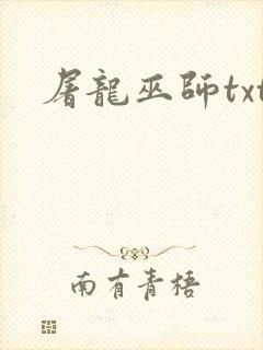 屠龙巫师txt