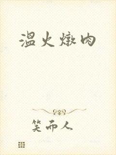 温火炖肉