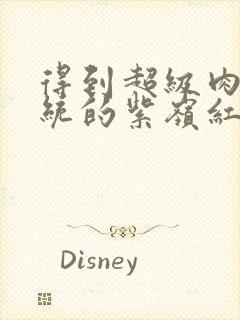 得到超级肉禽系统的紫岭红山