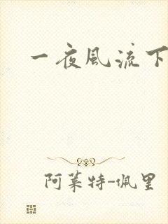一夜风流下载