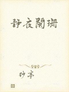 静夜阑珊
