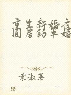 重生新婚夜正在圆房的军婚