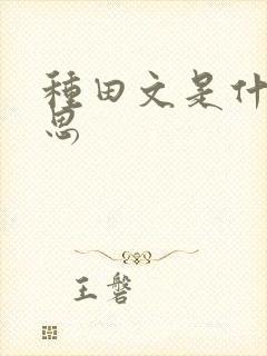 种田文是什么意思