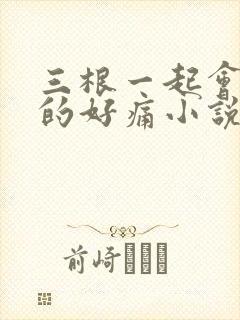 三根一起会坏掉的好痛小说