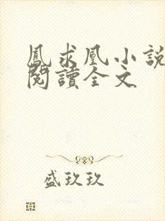 凤求凰小说免费阅读全文