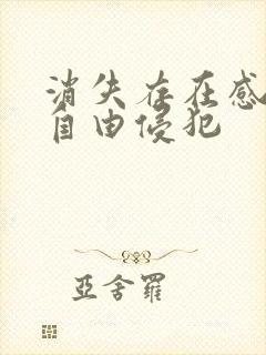 消失存在感消失自由侵犯