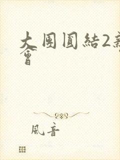 大团圆结2亲情会