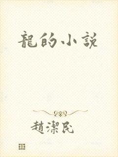龙的小说
