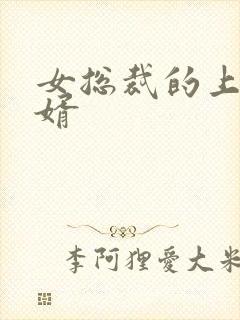 女总裁的上门女婿