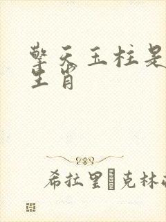 擎天玉柱是什么生肖