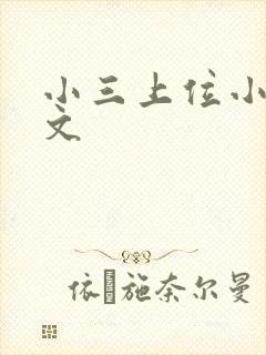 小三上位小说全文