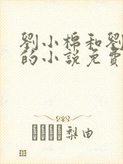 刘小棉和刘易文的小说免费阅读